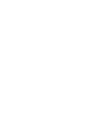 DaveNextWorks Logo